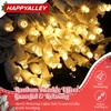 HappyAlley Slow Twinkle Christmas Light, 100 LED 35Ft Twinkle String