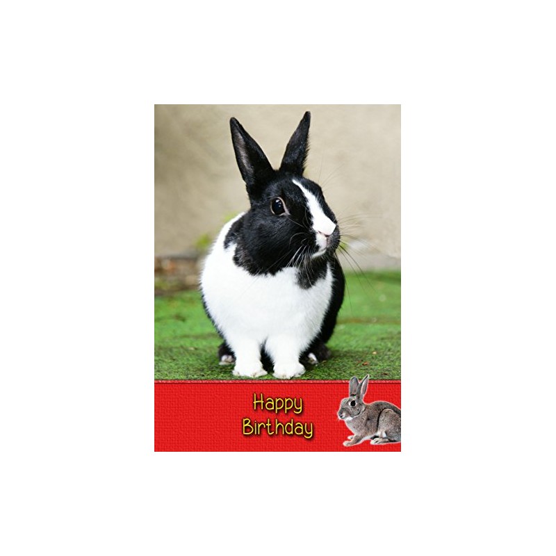 Bunny Rabbit Birthday Card