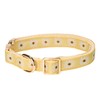 Adjustable Jacquard Webbing in Yellow Daisy Pattern Dog Collar with
