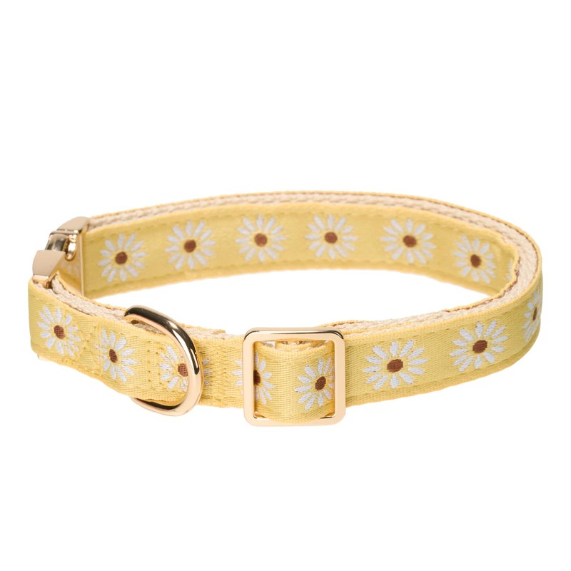 Adjustable Jacquard Webbing in Yellow Daisy Pattern Dog Collar with