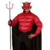 WIDMANN 00842 ? Devil Mask, One Size, Adult