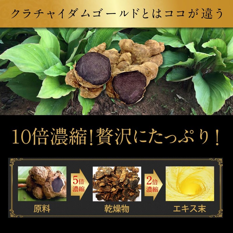 Krachaidam Gold Z (1 pc/30 seeds)