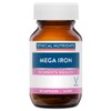 Ethical Nutrients Megazorb Mega Iron With Activated B's 30 Caps