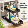 2-Tier Pull-Out Under Sink Organizer - Black Sliding Storage Rack
