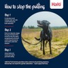 Halti Arnés Antitirones Reflectante para Perros Medianos Talla M