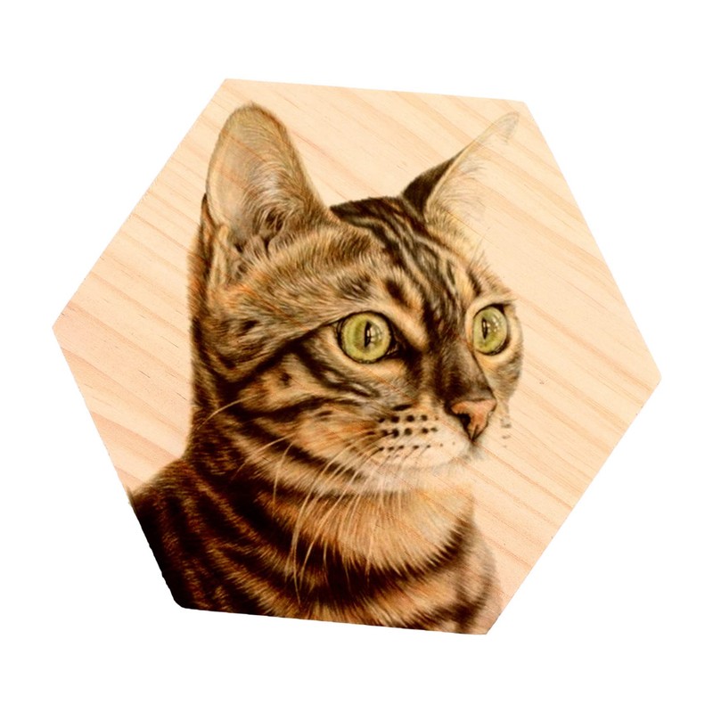 DOITOOL 2Pcs Unfinished Solid Wood Hexagon Panels for DIY Crafts