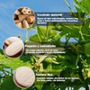 Lumbor37 Esponja Natural de Lufa, Exfoliantes Naturales Puras, Limpieza Profunda
