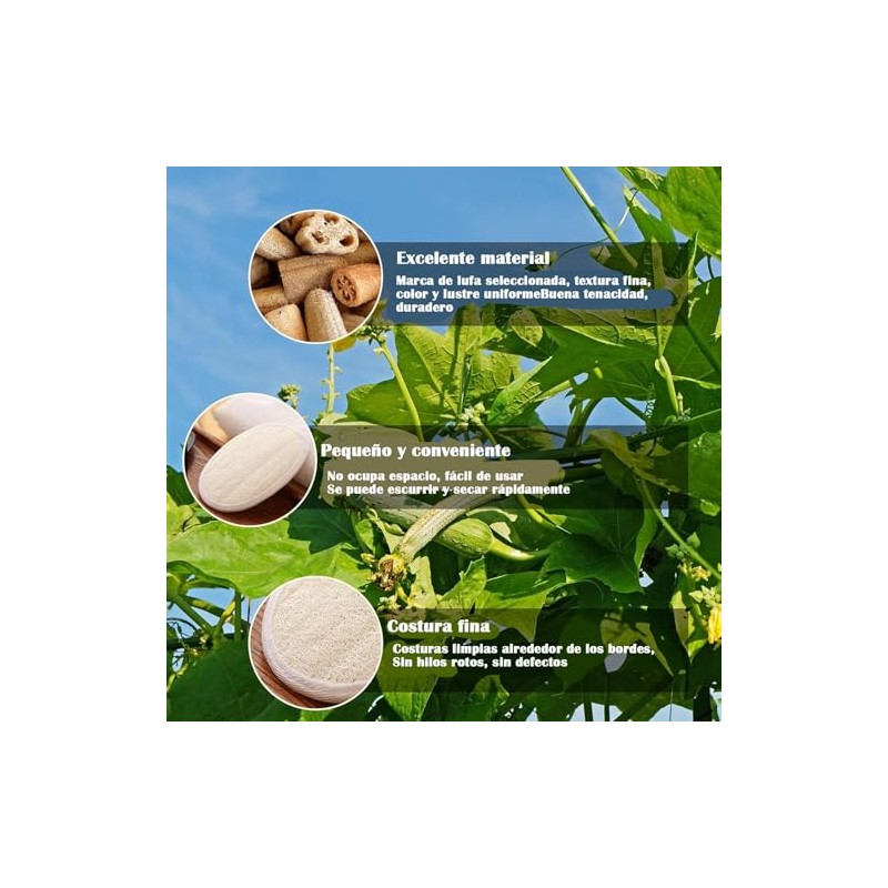 Lumbor37 Esponja Natural de Lufa, Exfoliantes Naturales Puras, Limpieza Profunda
