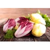 Italian Radicchio and Endive Chicory Mix Seeds for Planting About