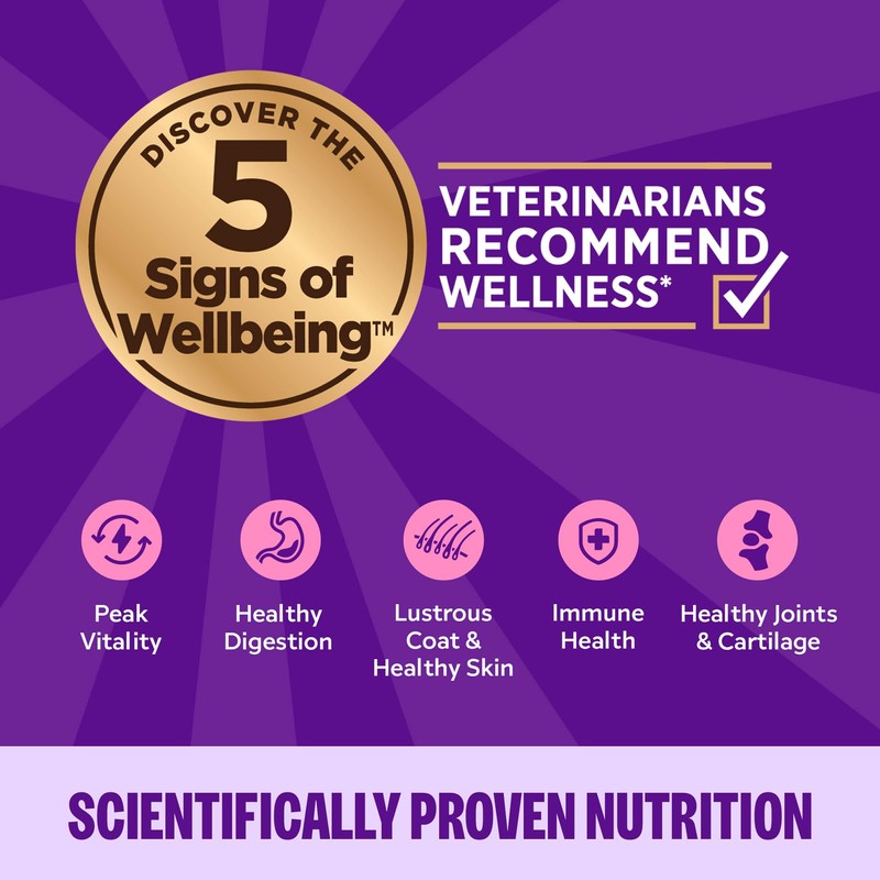 Wellness Complete Health Pate Adult Wet Cat Food, Natural, Protein-Rich,