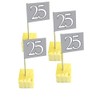 Folat 07796 25th Birthday/Anniversary Party Picker, Silver