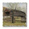 Thirstystone Humpback Bridge Single Tumbled Tile Stone Coaster with Protective