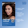 Clairol Lasting Colour Permanent Hair Dye | Perfect Grey Coverage