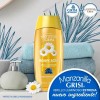 Shampoo Manzanilla Grisi Agave Azul Brillo Luminoso 400ml