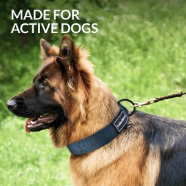 Heavy Duty Dog Collar for Large or Medium Dogs, Adjustable Strong Dog Collar for Active Dogs, Double-Layered Nylon (Dark Blue, Medium (36-51 cm))