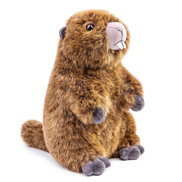lilizzhoumax Simulation Groundhog Plush Toy 25cm/10”, Cute Realistic Stuffed Animal