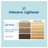 Schwarzkopf Nordic Blonde L1 Intensive Lightener 1 Pack