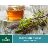 Fresh Basil, Kapoor Holy Tulsi - 250 Seeds, Heirloom Herb
