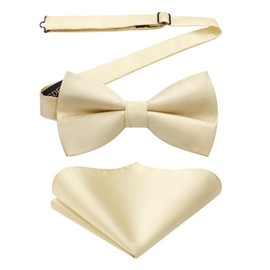 HISDERN Bow Ties for Men Champagne Pre Tied Bow Tie and Pocket Square Set Mens Adjustable Solid Color Bowtie Men's Formal Tuxedo Bowties for Wedding