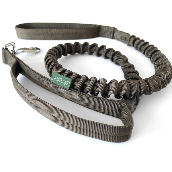 Leisegrün Elastic Dog Lead for Dogs Made of Nylon with