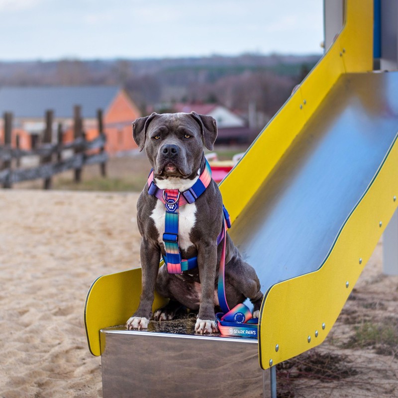 Spark Paws No Pull Dog Harness for Large Dogs, Heavy