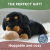 Bearington Lil' Gunner The Rottweiler Stuffed Animal, 8 Inch Dog
