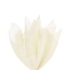 Gift Wrapping Tissue Paper 20x30 24 Pack by Feronia Packaging (Ivory Eggshell)
