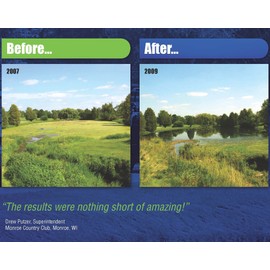Healthy Ponds Aquasphere Pro Biodegradable Pond Treatment, Treats up to 250,000 Gallons