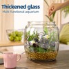 Daitouge 2.5 Gallon Glass Jars with Lids, Wide Opening Large