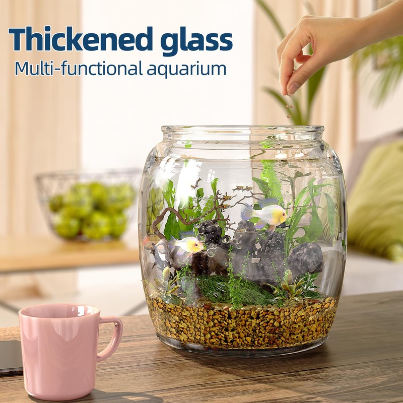 Daitouge 2.5 Gallon Glass Jars with Lids, Wide Opening Large