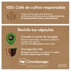 Nescafe Dolce Gusto Cafe Au Lait Decaff Pods, Pack of