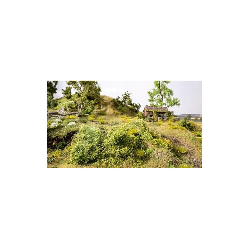 NOCH 7311 Bush Dark Green