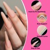 ZenithAura Original Sandwich Nail Form Dual Form 240 Pieces Almond