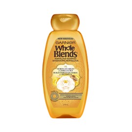 Garnier Whole Blends Shampoo with Moroccan Argan & Camellia Oils Extracts, 12.5 Fl Oz (Pack of 1)
