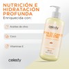 CELESTY | Crema de Camote Silvestre 500g | Equilibrio Hormonal