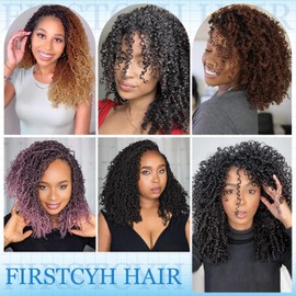 Passion Twsit Hair 14 Inch - 4# Yankee Twist Crochet Hair 10Packs Passion Twist Braiding Hair Prelooped Mini Spring Twist Crochet Hair for Black Women(14 Inch,4#)