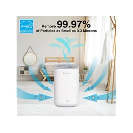 Storebary Indoor Air Purifier C350 with H13 True HEPA filter for Allergies - for Large Rms
