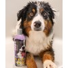 SynergyLabs Shed-X Shed Control Shampoo for Dogs; 16 fl. oz.
