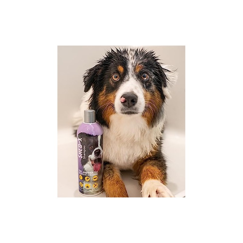 SynergyLabs Shed-X Shed Control Shampoo for Dogs; 16 fl. oz.