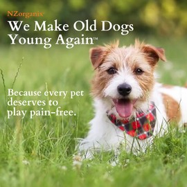 KiwiOrganix NZorganix FlexxiJoints 100% New Zealand Green-Lipped Mussel Powder, Hip & Joint Support Formula for Dogs & Cats, with Glucosamine, Chondroitin 200g (600 Servings) 2-Pack