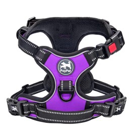 PoyPet No Pull Dog Harness with Neck Buckle, Reflective No Choke with 2 Leash Clips, Adjustable Soft Padded Pet Vest with Easy Control Handle for Medium