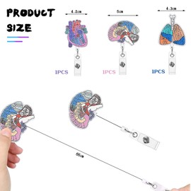 Mezrkuwr 3 Pack ID Badge Holder with Badge Holder, Human Organ Shape Retractable Clip for Nurse, Nursing, Student, Name Tag, Card
