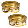 Jodauirt Gold Flush Mount Ceiling Light Fixture,3-Lights Hallway Ceiling Lighting,