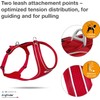 Belka Comfort Harness Red S