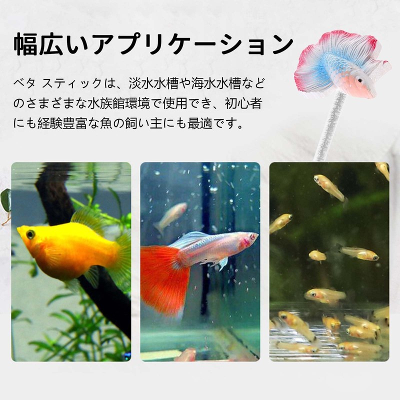PAVIKE Solid Training Wand Simulation Beta Wand, Fish Training Stick,