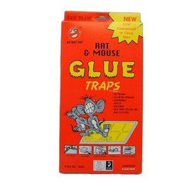 Dollaritem Wholesale Rat & Mouse Glue Traps 2pk Box