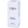CERES Imperatoria ostruthium mother tincture 20 ml