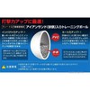 ZETT(ゼット) アイアンサンド(砂鉄)入トレーニングボール 1個 BB450S 450g
