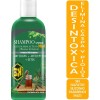 Shampoo Árbol De Té Con Miel Détox 500ml Vivonatural 3h