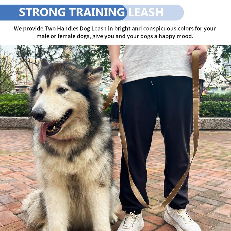 Strong Heavy Duty Dog Leash - 5ft Reflective Nylon Training